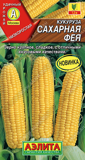     - 1 .