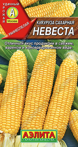 АЭЛИТА Кукуруза сахарная Невеста - 1 уп.