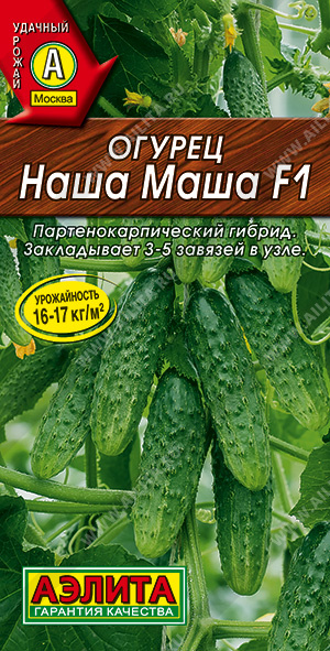    F1 - 1 .