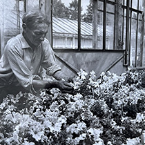    Ż  Cerny