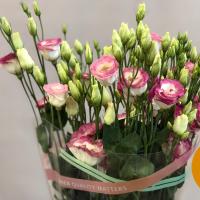   Excalibur 3 Hot Lips - 5 .