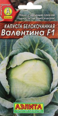   /  F1 - 1 .