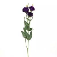  ABC 2 Purple Improved. ! - 5 .