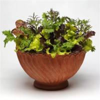  SimplySalad Global Gourmet Mix - 3 .