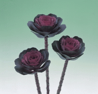   ( ) Crane F1 Rose - 5 .