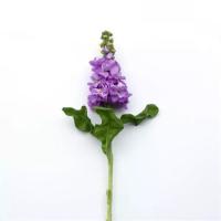   Mathilda Lavender - 10 .