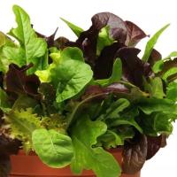  SimplySalad City Garden Mix - 3 .