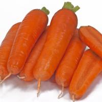 Морковь Тангерина F1 [Силекс F1, Т-825]  - 0,5 гр.
